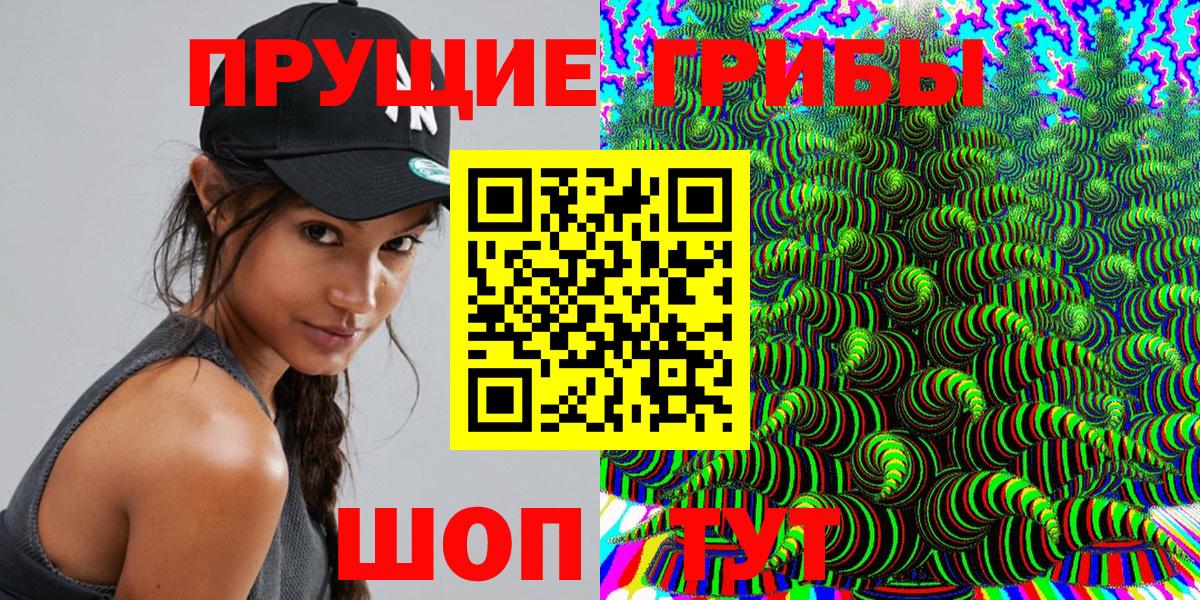 дарнет шоп  Вход с VPN  Пушкино  Галлюциногенные грибы Psilocybine cubensis 